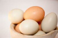 Desi Eggsدیسی انڈے۔